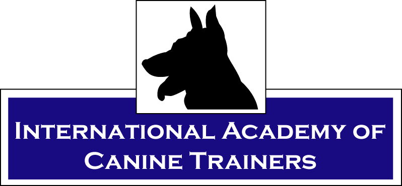 International Academy of C